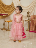 Exquisite Pink Chevron Sleeveless Choli and Tiered Tulle Lehenga Set q562954